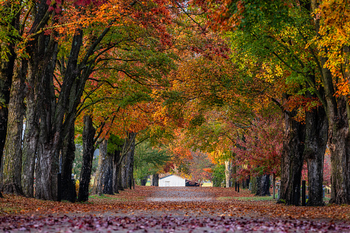 Fall color foliage hits Western Pennsylvania.