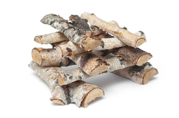 istock Birch firewood tree logs on a white background 1791454762