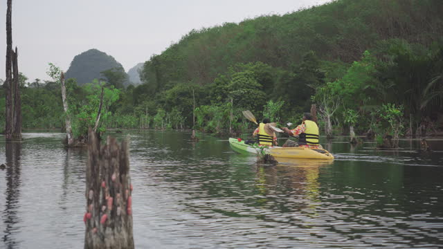 Senior adult Asian couple wearing yellow life jacket kayaking together on paddleboat for observing an ecosystem of a small lake near mangrove trees for nature exploration and relaxation.