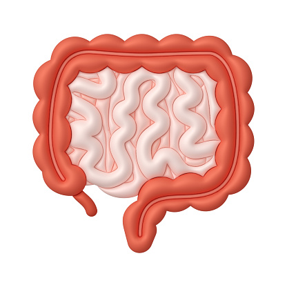 Cross section of human stomach with viruses and bacteria. 3d illustration
