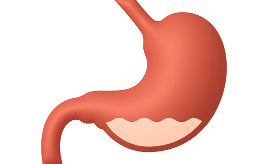 Close up view of human digestive system. Liver stomach and pancreas. 3d illustration
