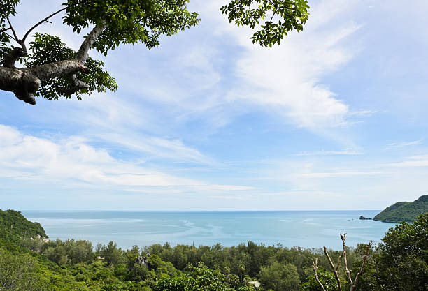 istock Seascape with green hill 179146230