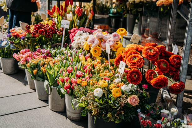 istock Flowers in Vienna 1791474549