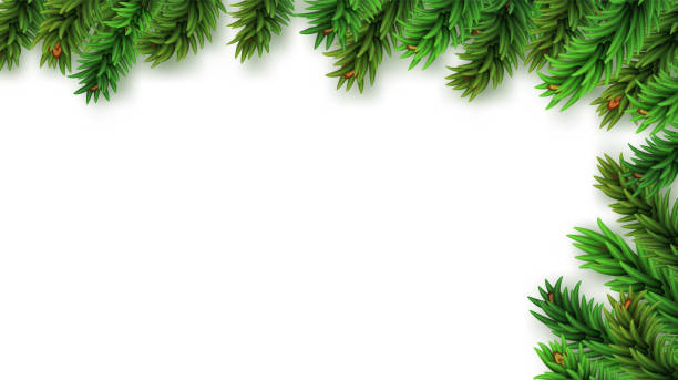 istock Christmas border with realistic fir branches isolated on blank background. Xmas element for festive design. 1791486268