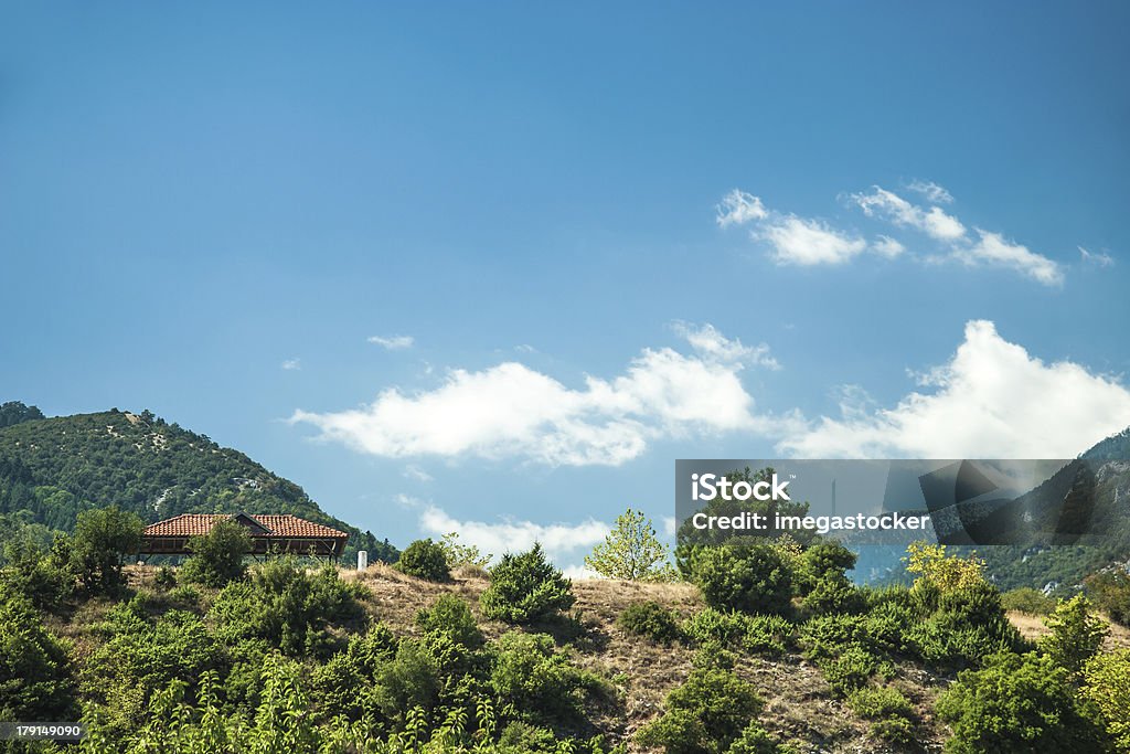 Mountain view - National Park Olympus Mountain view - National Park Olympus, Greece Animal Wildlife Stock Photo