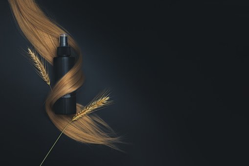 Blond long hair with Hair care spray and sprigs of ripe wheat. Healthy hair. Hairdresser salon equipment concept, premium hairdressing shears. Accessories for haircut.