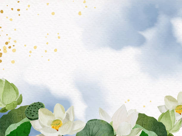 акварельный белый венок из цветка лотоса рамка на акварельном бумажном фоне - floating on water petal white background water stock illustrations
