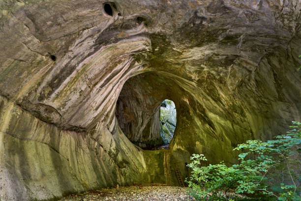 Entry portal of a cave in a limestone mountain