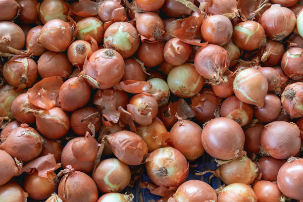 Farmers Market Fresh: Organic Onions and Bountiful Harvest Delights Background