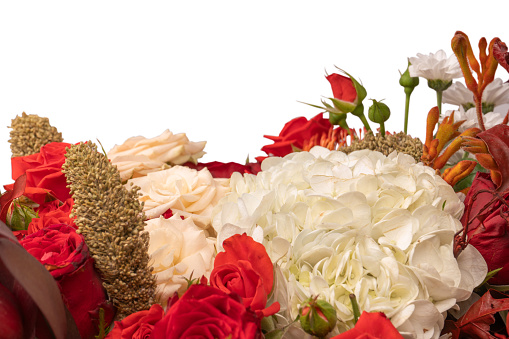 Autumn bouquet of red and white roses, hydrangeas, chrysanthemums isolated on a white background.