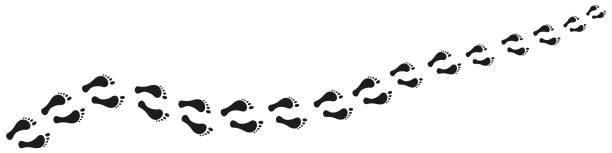 illustrazioni stock, clip art, cartoni animati e icone di tendenza di icona dell'impronta. impronte a piedi nudi, impronte di scarpe. raccolta di simboli neri. illustrazione vettoriale - 11091