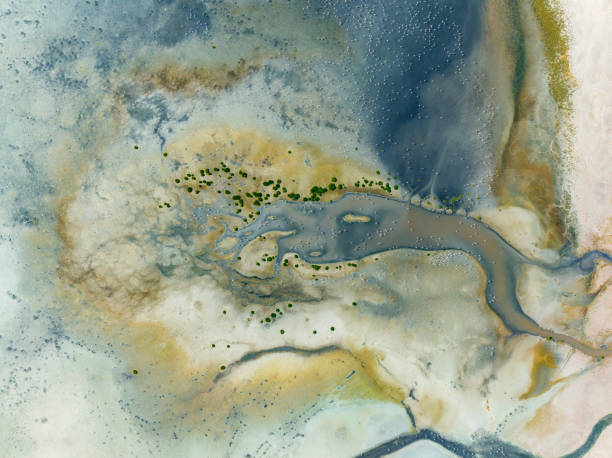 istock Natural shapes and textures on lake 1791516855