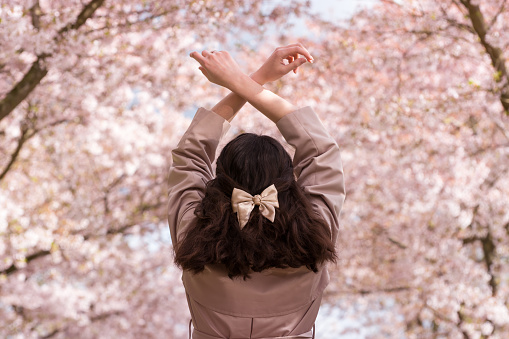 A young beautiful girl stands with her arms raised and crossed above her head against the background of blooming Japanese cherry trees and enjoys the spring nature. The hair is gathered with a bow-shaped clip. Back view. Spring concept.