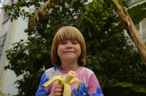 A preschooler eats a banana against the background of a banana tree. A child near a banana bush, green bananas on a branch, a yellow banana in his hand