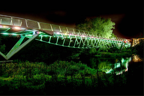 The Living Bridge