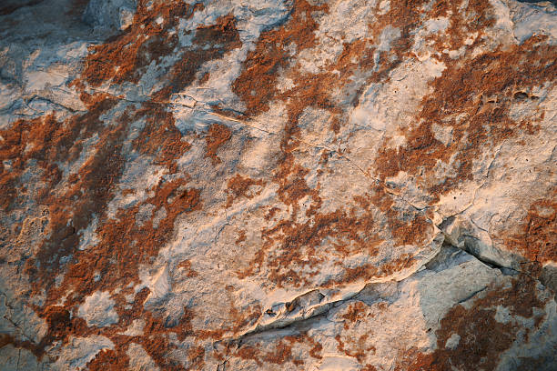 istock mossy cross section of rock 179154193