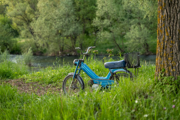 An old blue motorcycle with big wheels parked next to a tree in the forest. The river can be seen in the background.