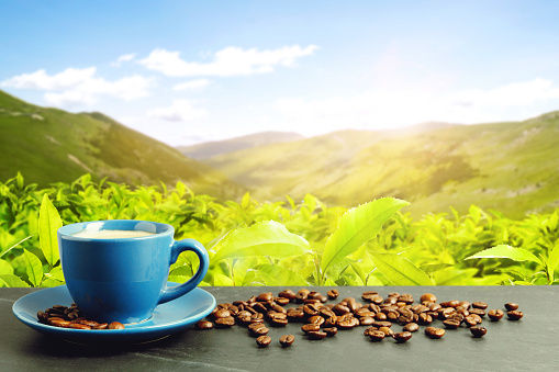 Cup of aromatic hot coffee on black table and beautiful view of mountain landscape. Space for text