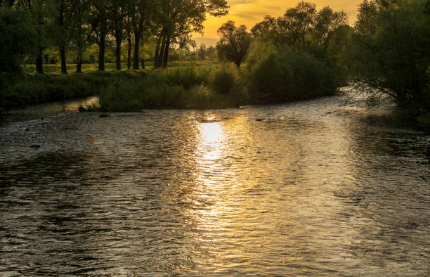 A beautiful sunset in nature. The sun's rays fall on the trees and the river.