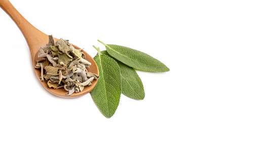 Salvia Officinalis (Green sage tea) on the white background