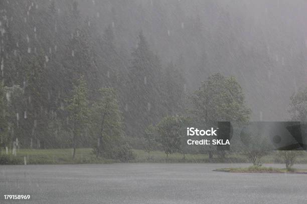 Сильный Дождь — стоковые фотографии и другие картинки Лес - Лес, Проливной дождь, Без людей