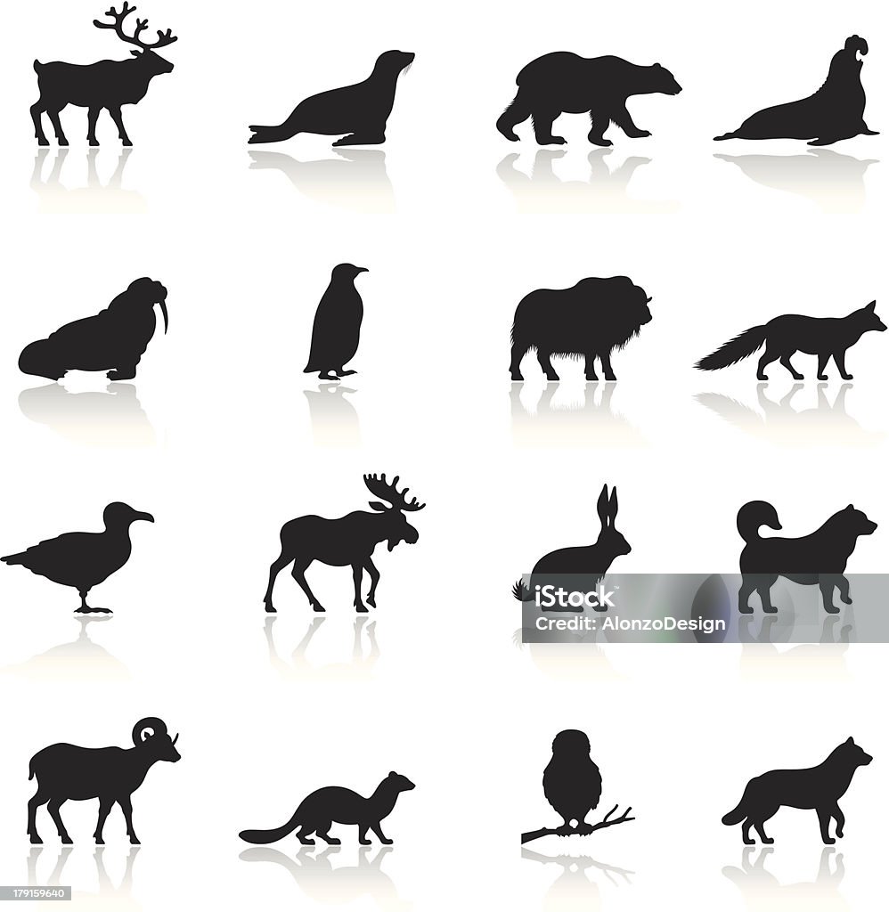 Conjunto de ícones animais Polar - Royalty-free Símbolo de ícone arte vetorial