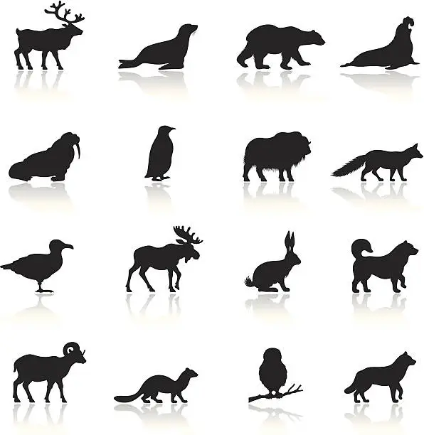 Vector illustration of Polar Animals Icon Set
