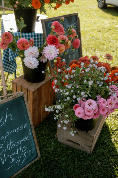 istock Bouquets of flowers 1791599660