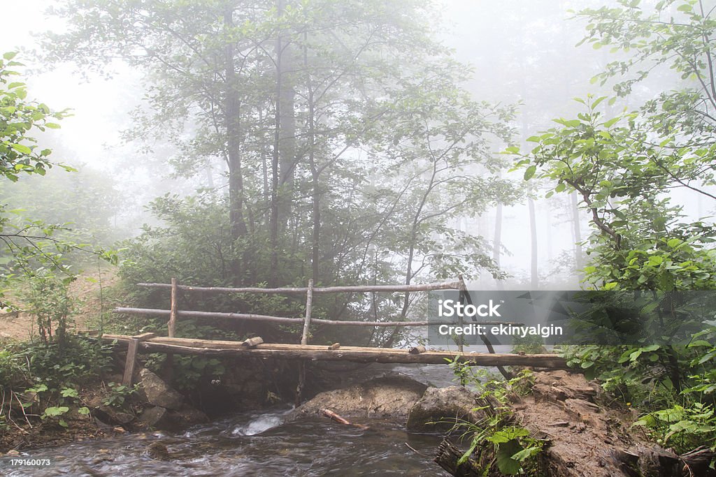 Foggy Forest and Bridge over Stream Foggy forest and bridge over stream on a mountain. Bridge - Built Structure Stock Photo