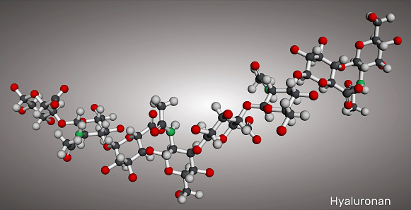 Hyaluronan, hyaluronic acid, HA, hyaluronate molecule, short fragment. Molecular model. 3D rendering. Illustration