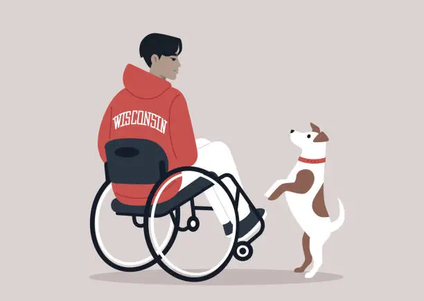 Vector illustration of A person in a wheelchair, viewed from the back, donning a purple Wisconsin hoodie, with their Jack Russell dog leaping onto their lap, seeking attention and play