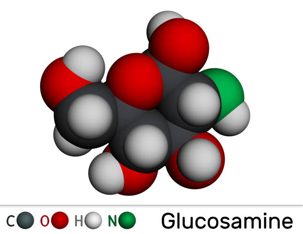 istock Glucosamine molecule. It is used for treatment of osteoarthritis. Structural chemical formula and molecule model 1791608021