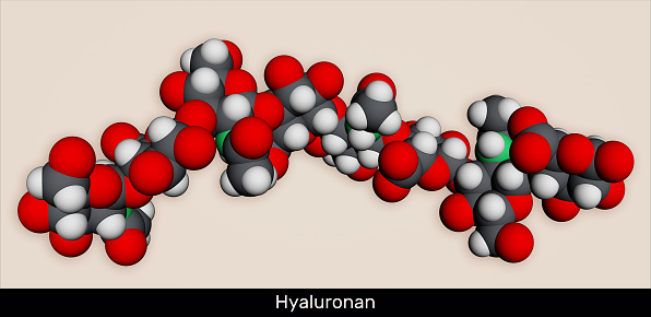 Hyaluronan, hyaluronic acid, HA, hyaluronate molecule, short fragment. Molecular model. 3D rendering. Illustration