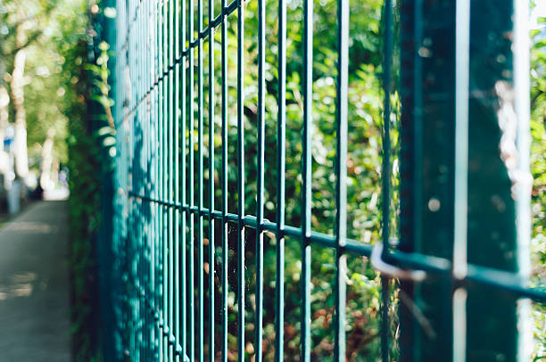 Fence with green defocused plants