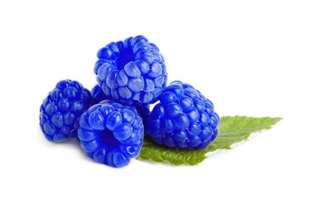 istock Fresh tasty blue raspberries isolated on white 1791617326