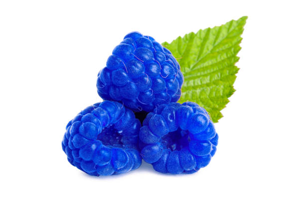 istock Fresh tasty blue raspberries isolated on white 1791617347
