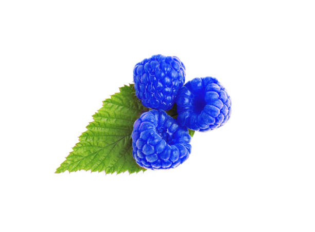 istock Fresh tasty blue raspberries isolated on white 1791617877