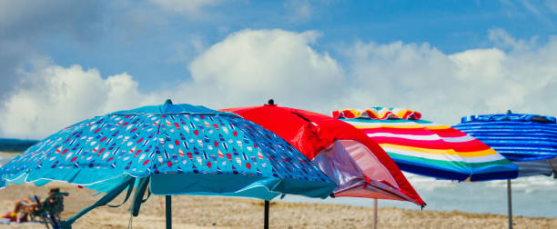 istock Row of Beach Umbrellas 1791618388