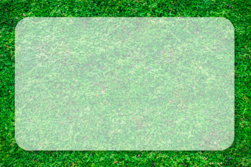 green taxture background