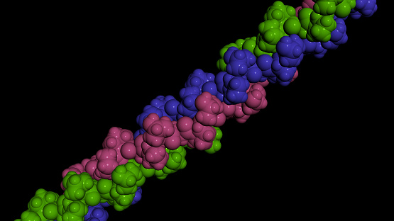 Collagen protein molecule. Molecular model. 3D rendering. Illustration
