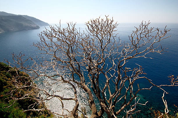 Corniglia, panoramic view stock photo