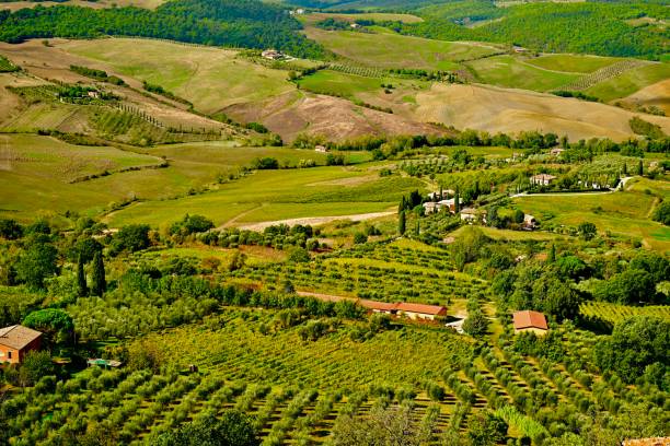 istock Montepulciano, Italy 1791641041