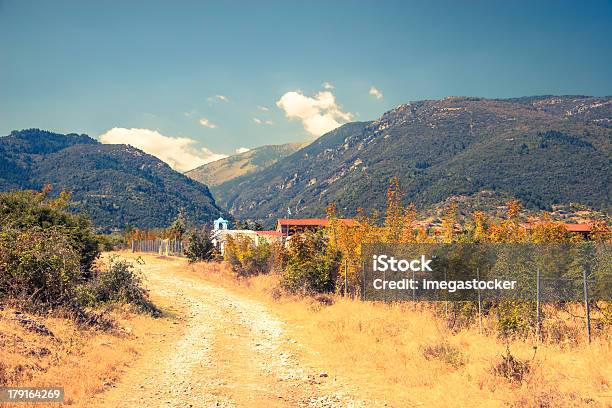 Mountain Viewnational Park Olympus - zdjęcia stockowe i więcej obrazów Drzewo - Drzewo, Dzikie zwierzęta, Fotografika