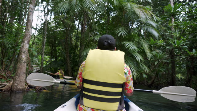 Asian nature explorer family having leisure activity by going traveling on paddleboats into a mangrove forest on weekend for sightseeing an ecosystem and having peaceful moment under nature.