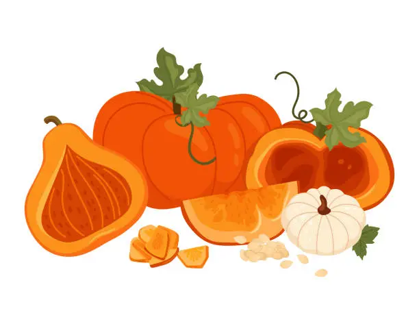 Vector illustration of Pumpkin, set, pumpkin pieces, pumpkin seeds.