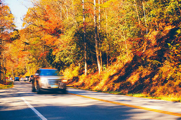 istock Car driving in the forest 179165017