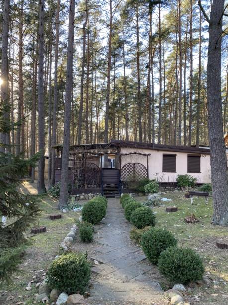 istock Camping houses in a pine forest 1791653562