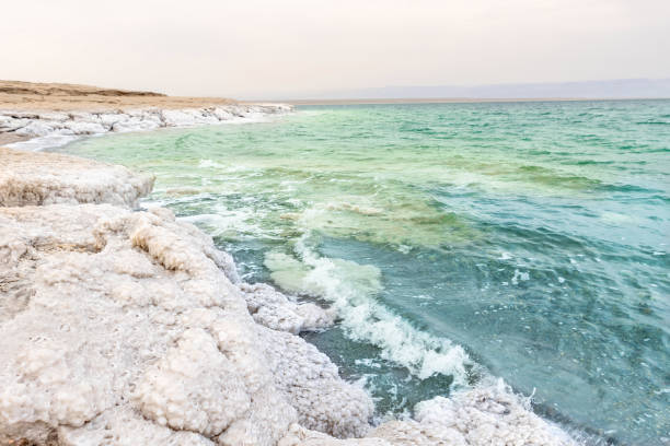 vorkommen von mineralsalzen, typische landschaft des toten meeres in jordanien. - hypersaline stock-fotos und bilder