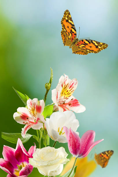 Image of beautiful flowers and butterfly in flight on a green blurred background