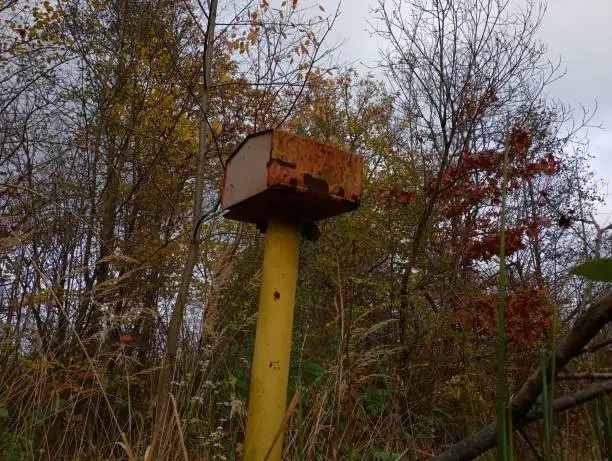 Photo of A metal box on a yellow column in the middle of the forest. Mailbox on the background of autumn trees in tall grass.